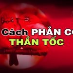 Học cách phản công thần tốc