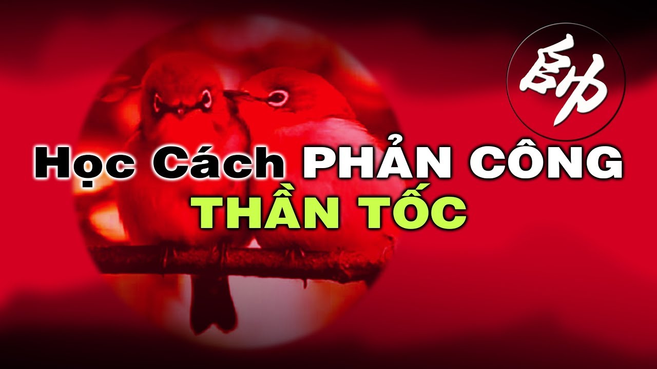 Học cách phản công thần tốc
