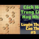 Cách học trung cuộc căn bản luyện thành cao thủ