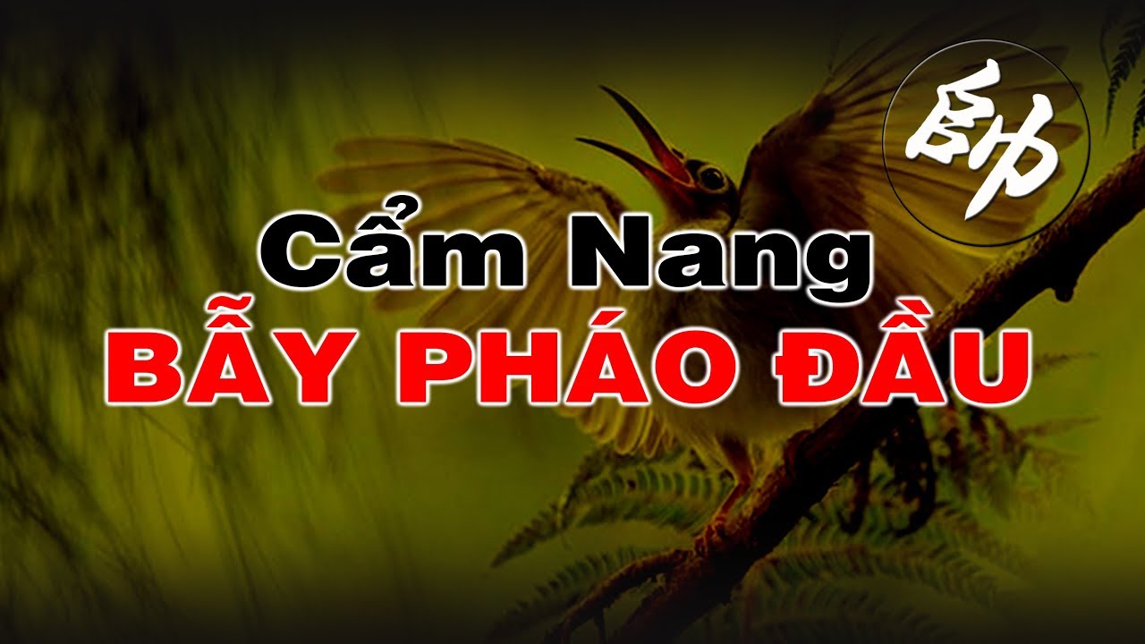 Cẩm nang Bẫy pháo đầu
